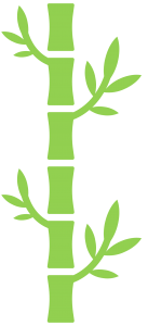 Bamboo